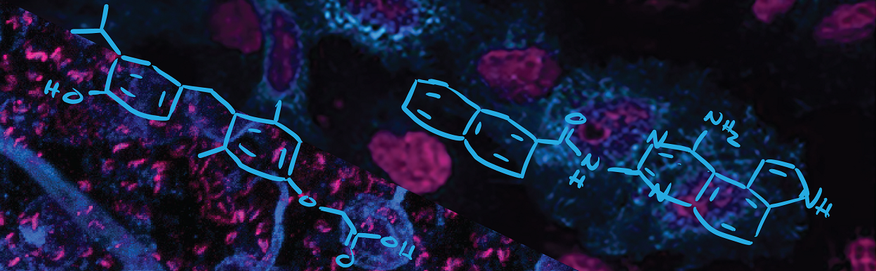 Chemical Biology & Physiology Conference 2019