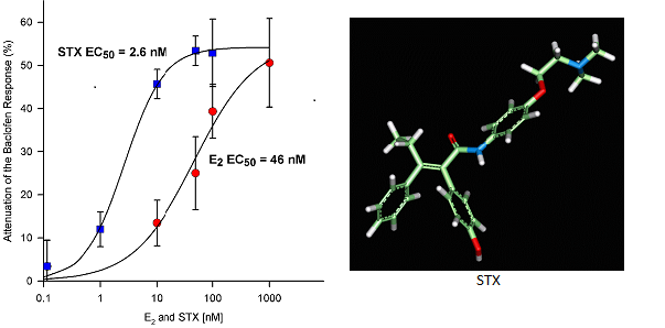 STX receptor