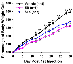 Estradiol graph