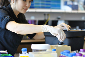 A researcher tests samples in the Shin Lab at 博彩网站