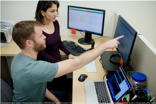 services > bioinformatics