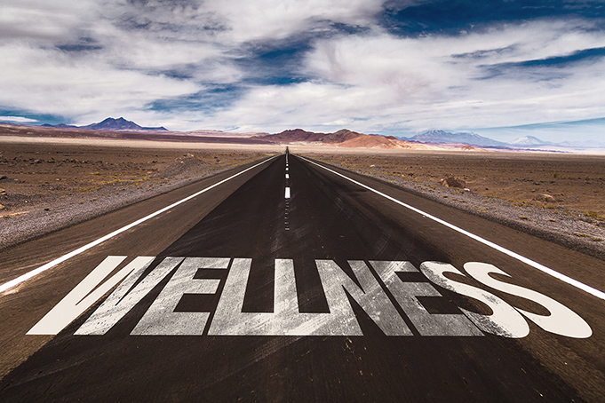 Long, straight road in the desert with Wellness written across it with mountains in the background
