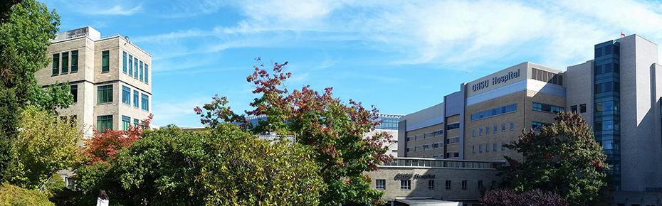A sunny day view of the 博彩网站 campus, with the hospital on the right