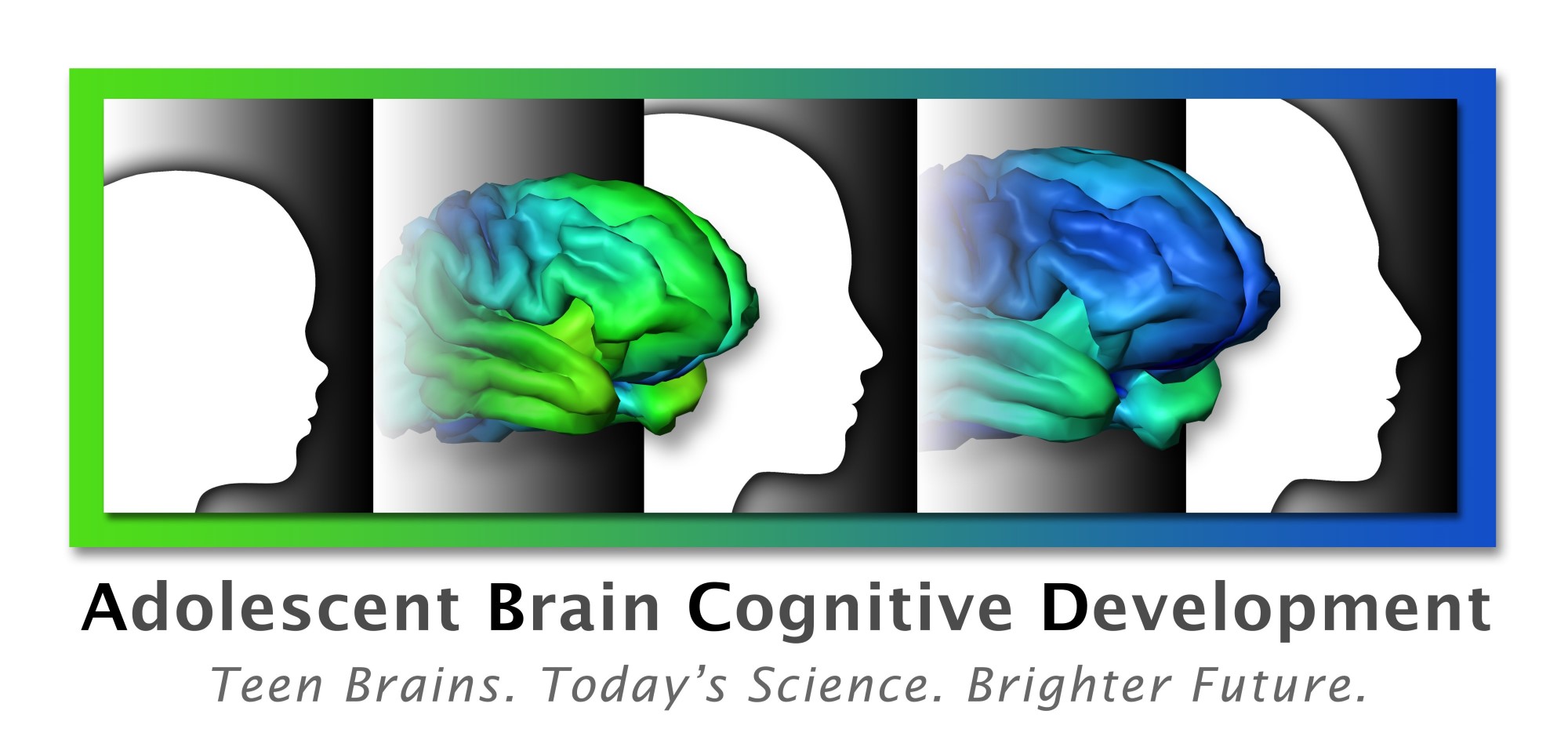 ABCD Study
