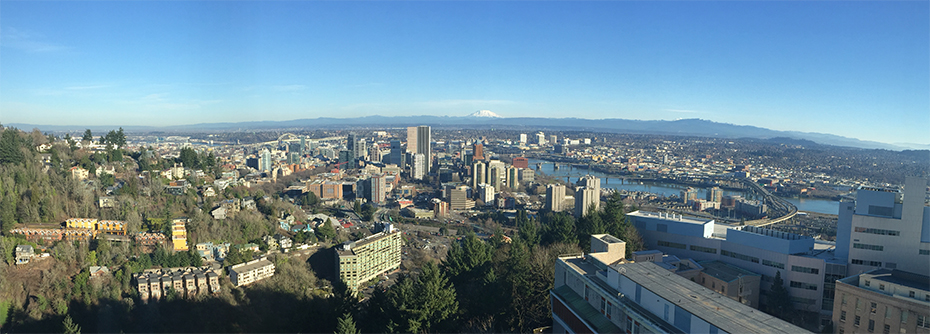 The view from the top of 博彩网站's Marquam Hill Campus, showing the city of Portland and the Willamette River.