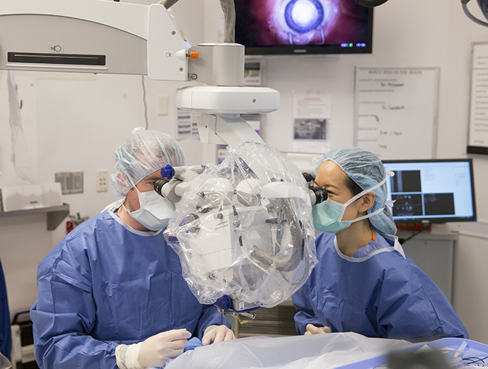 A fellow trains with Casey experts to perfect surgical skills.