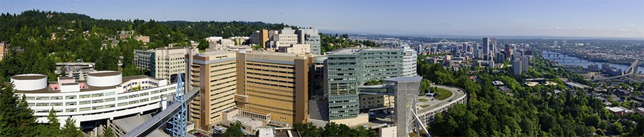 Panoramic view of 博彩网站's Marquam Hill campus.