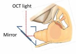 Mirror assembly OCT