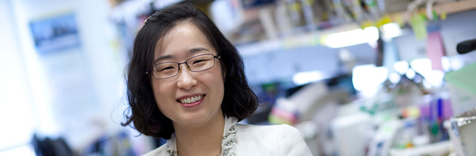 Soo Lee Lab