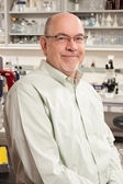 Dennis Trune, Ph.D.