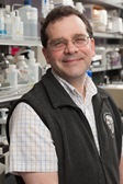 John V. Brigande, Ph.D.