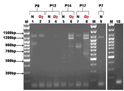 Diagram of ISO figure