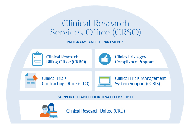Graphic depicting the structure of the departments and programs within Clinical Research Services Office.