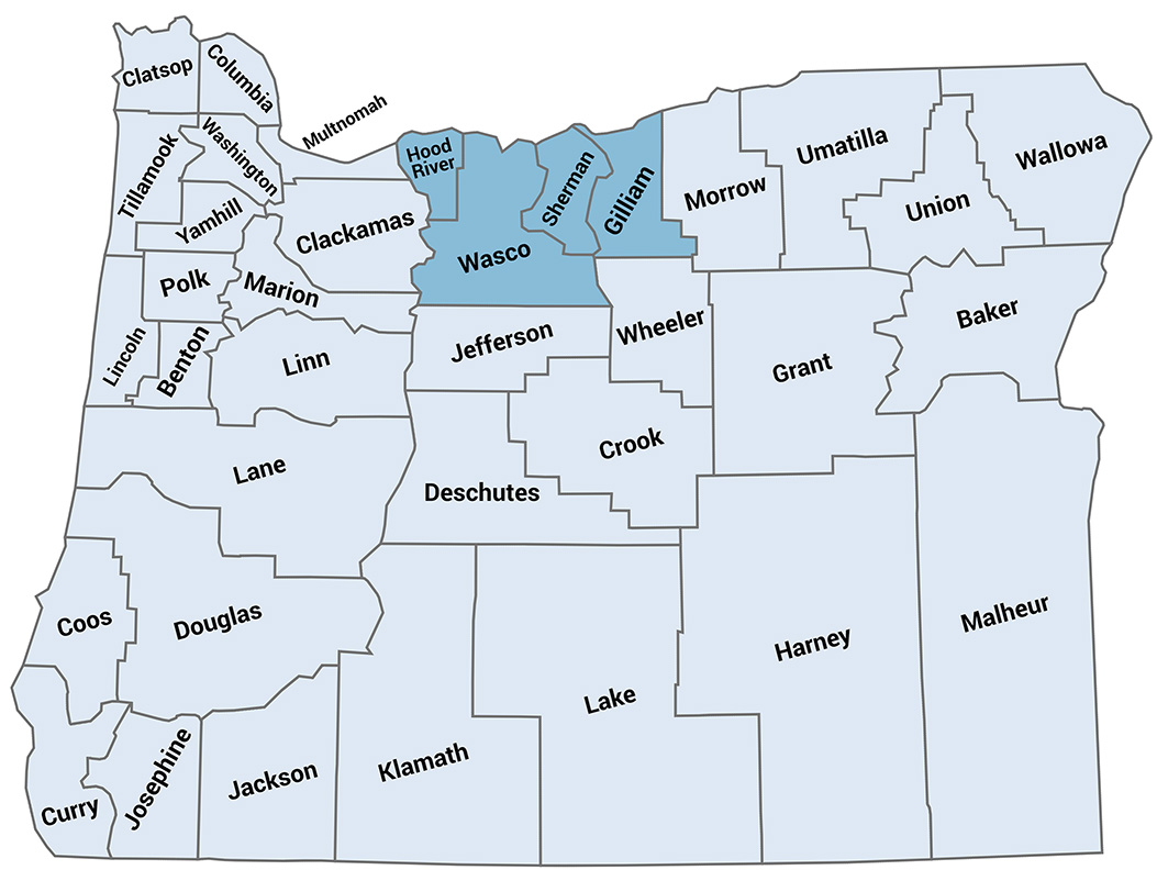 New Gorge Liaison Region Map