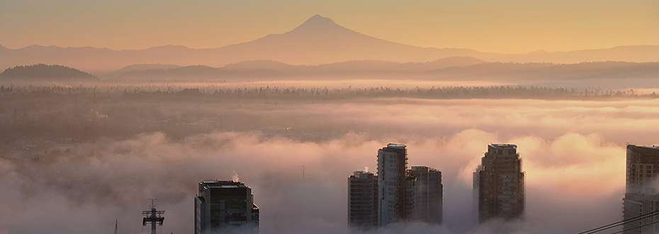 Fog over Portland's South Waterfront, as seen from 博彩网站's Marquam Hill campus.