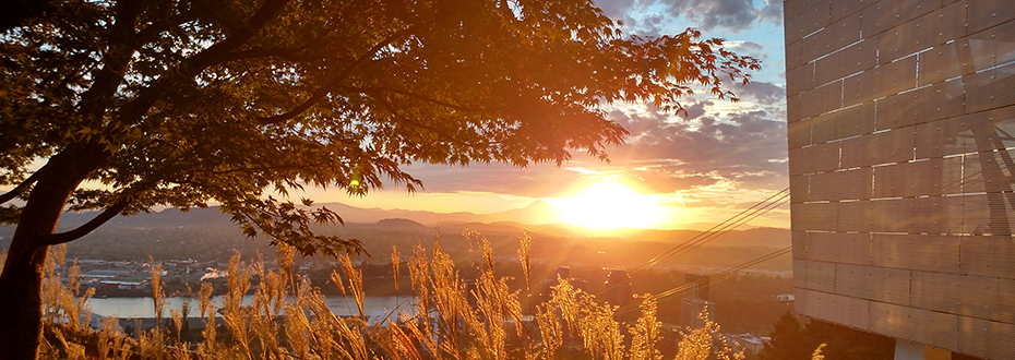 Sunrise from 博彩网站's Kohler Pavilion on Marquam Hill.