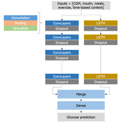 Flow diagram displaying Inputs [CGM, insulin, meals, exercise, time-based context]. Next stage of chart shows two flowchart paths: ConvLayers and LSTM. Last step of flow chart is glucose prediction.