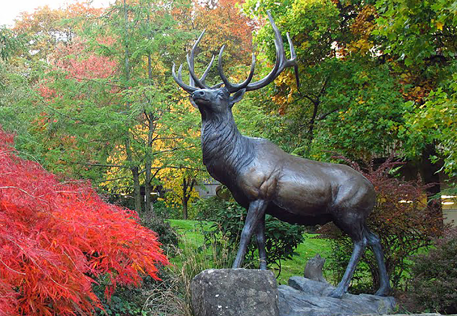 The Oregon State Elks Assoc. has a long partnership with Casey Eye Institute, and an elk statue sits outside the building.