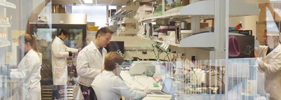 Cancer Prevention and Control