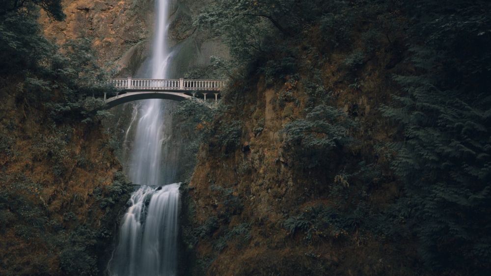 Wide view of Multnomah Falls and the Benson Bridge in front of it.