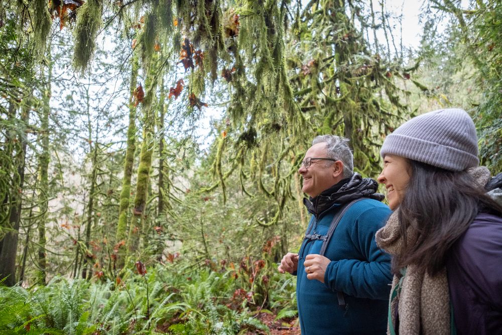 Man and woman happily hiking in green, mossy woods.