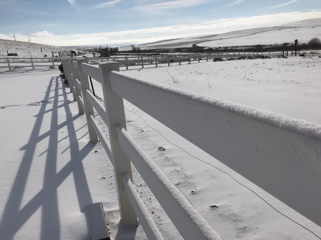 Snowy Fence