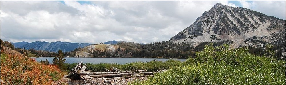 NE Oregon 1100X300