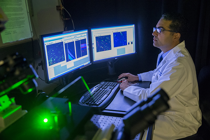 Dr. Tehrani viewing images of the eye for his research on glaucoma