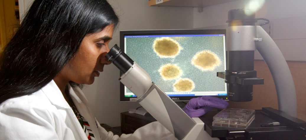 Anupriya Agarwal, Ph.D., assistant professor of medicine (hematology and medical oncology) in the 博彩网站 School of Medicine and researcher with the 博彩网站 Knight Cancer Institute, is working to find new treatment options for those living with acute myeloid leukemia.