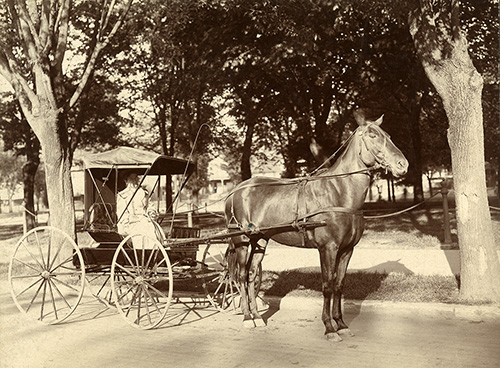 Dr. Amelia Ziegler with her horse and buggy, 1900s. Historical Image Collection.