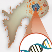 • Using radiation to boost circulating DNA for ‘liquid biopsies’ of cancer