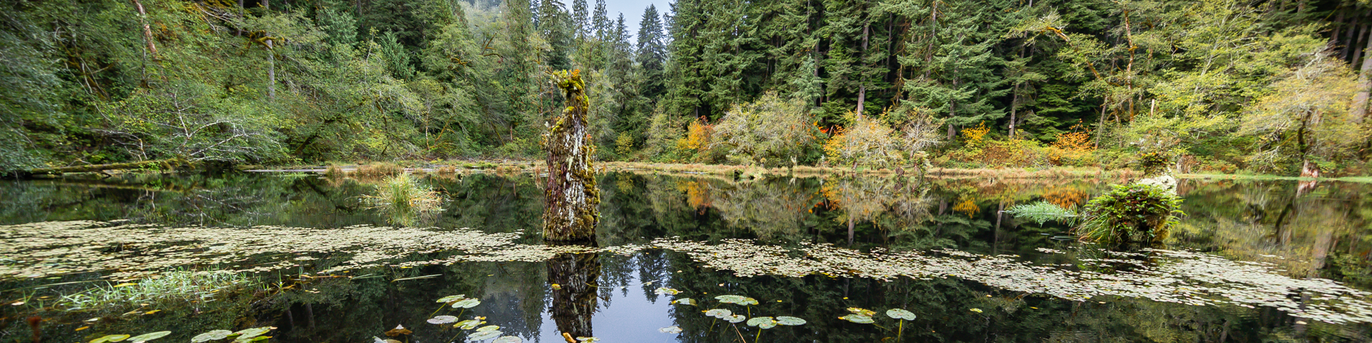 Wasson Lake