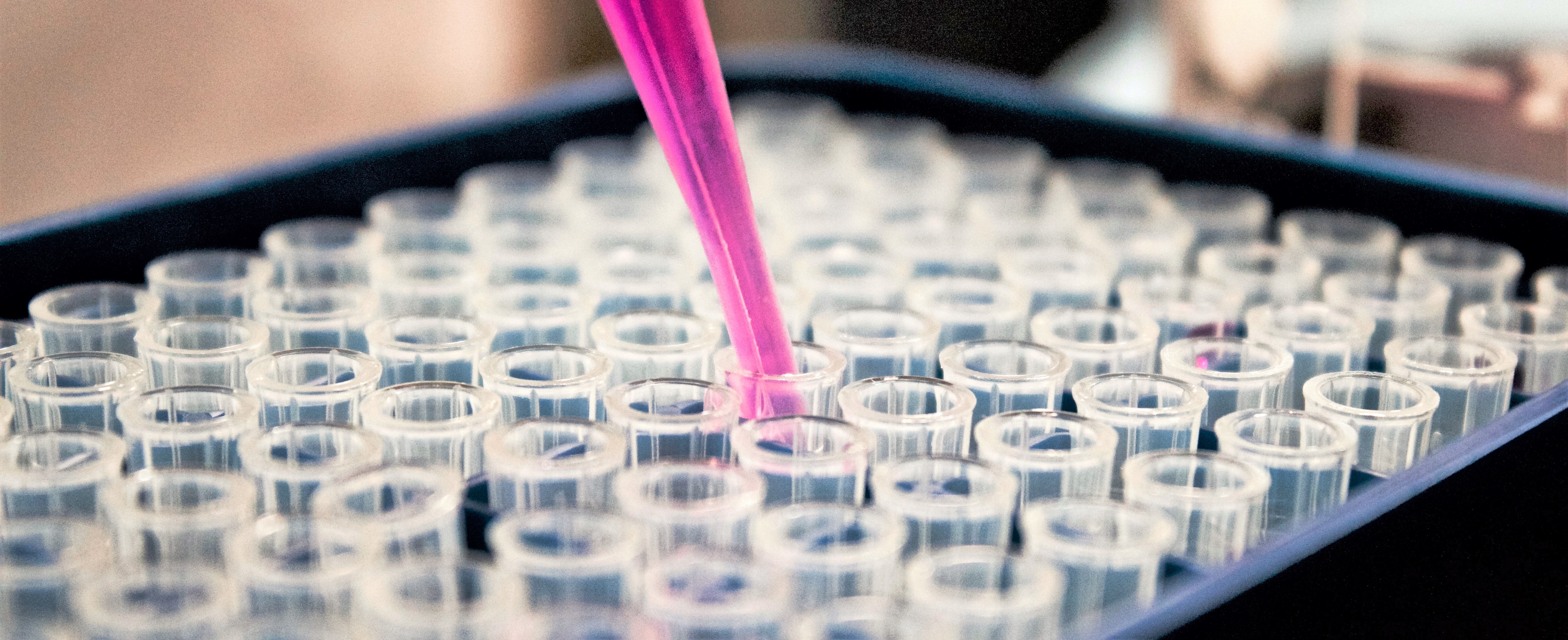 Dropped dipping into a tray of test tubes