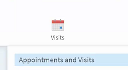 Appointments and visits tile MyChart | Azulejo de citas y visitas MyChart