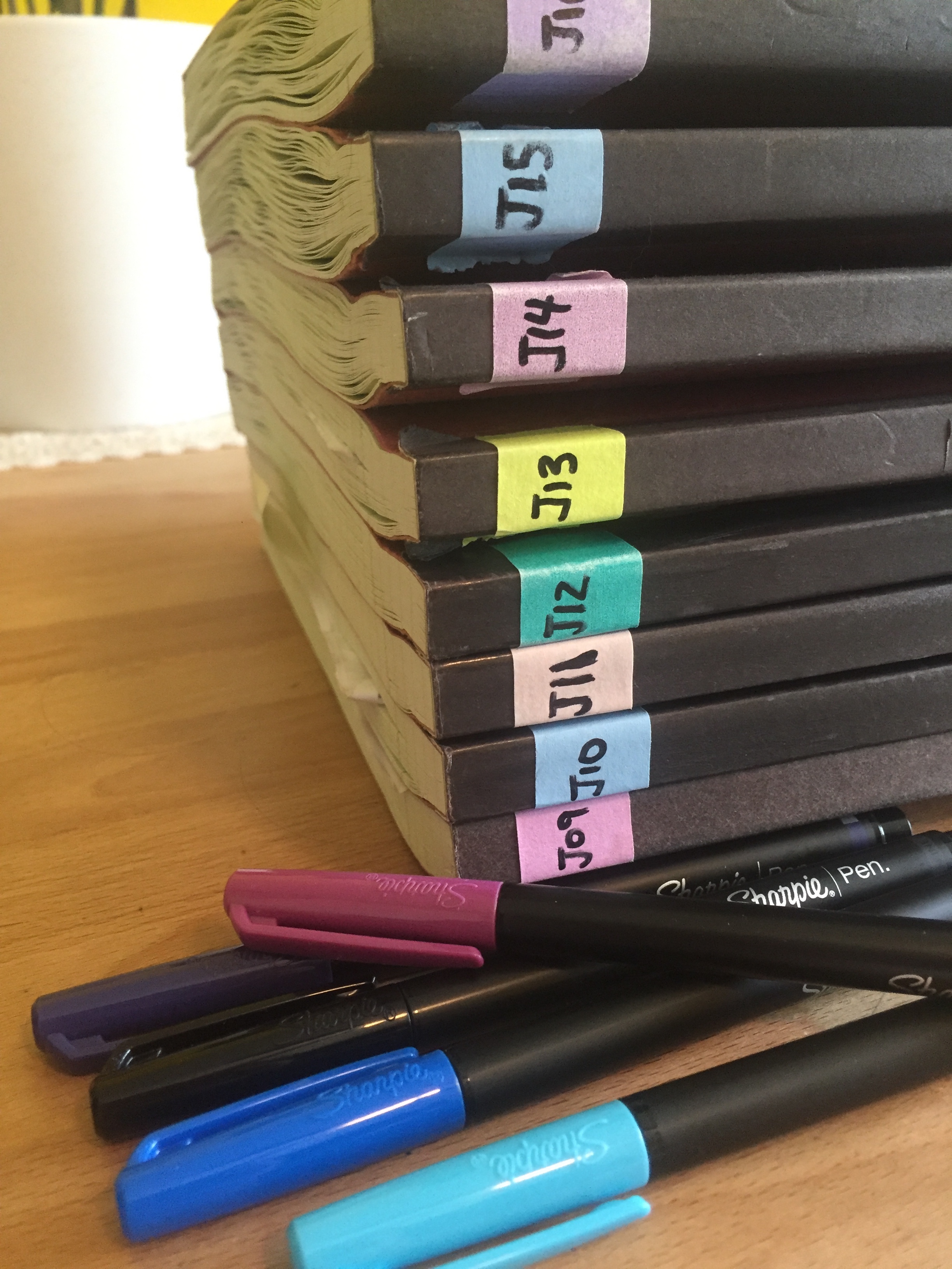Image of Nakai lab notebooks
