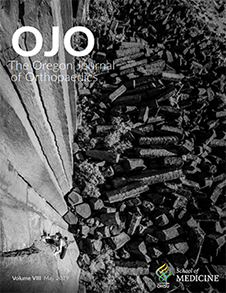 OJO 2019 cover image of rock climber