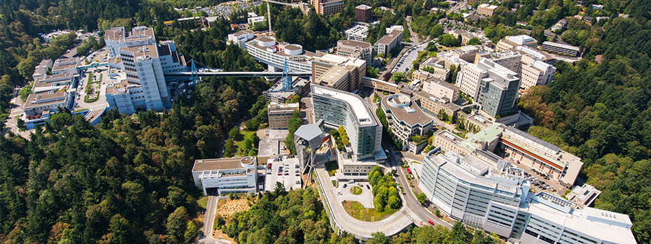 Birdseye view of Marquam Hill campus