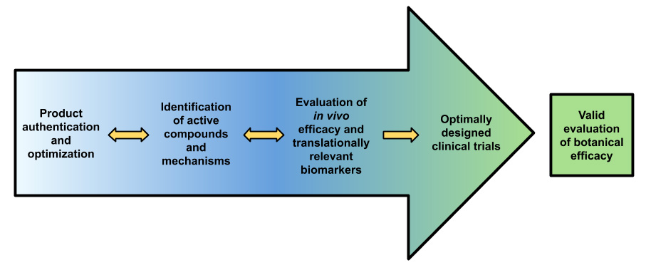 BENFRA uses authentication and optimization, identification of active compounds and mechanisms, evaluation of in vitro efficacy and translationally relevant biomarkers, and optimally designed clinical trials in an organized fashion to arrive with valid evaluation of botanical efficacy.