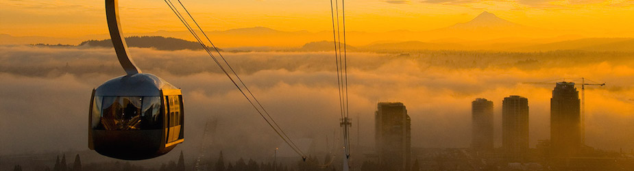 博彩网站 Tram Sunrise