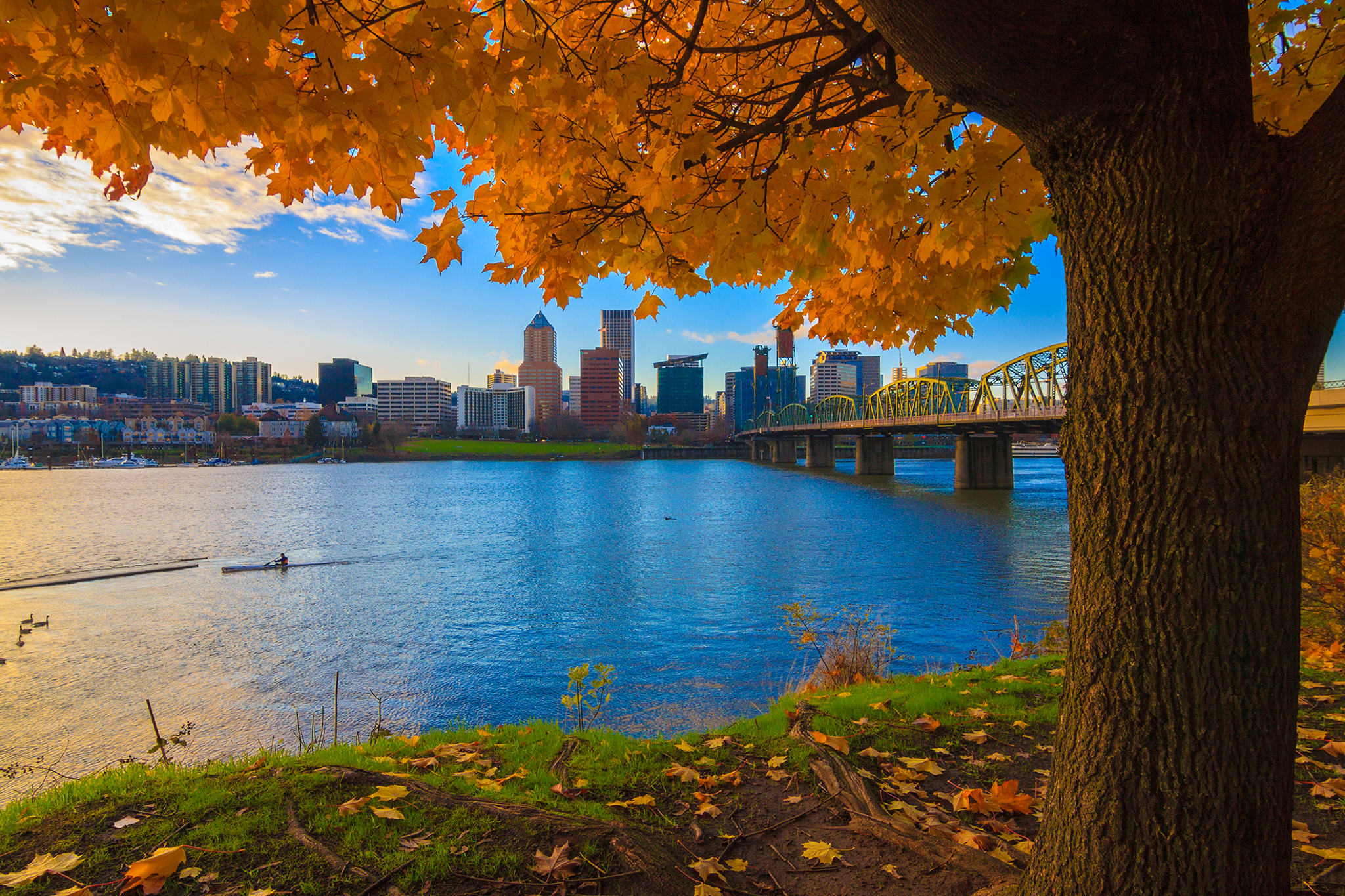City of PDX
