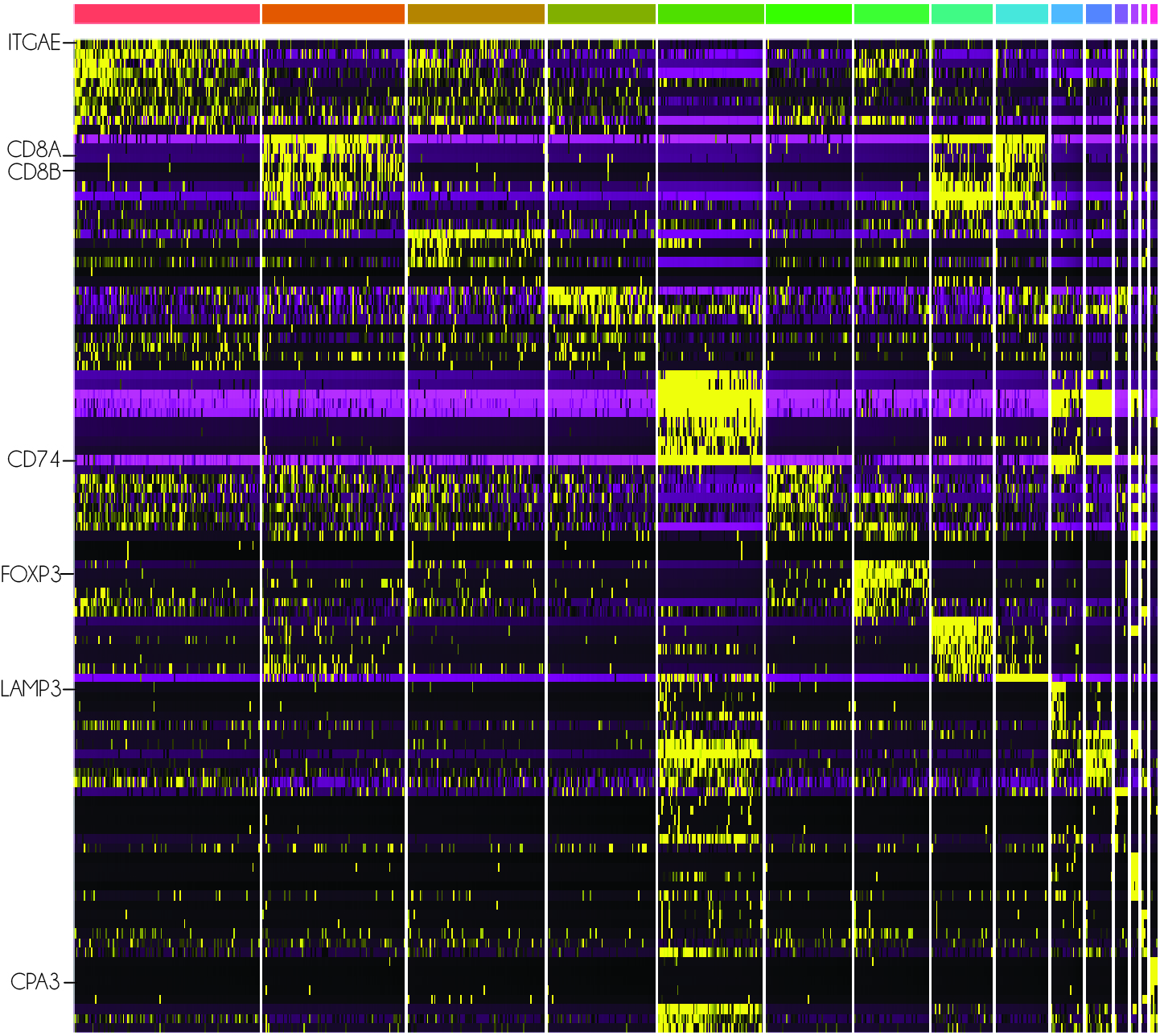 A Single-cell RNA-seq heatmap