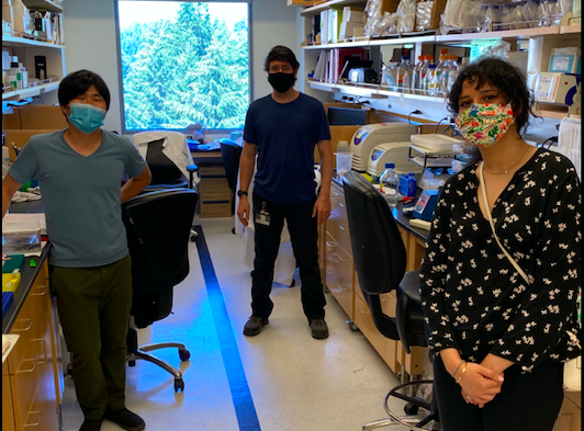 Socially Distant McCormick Lab