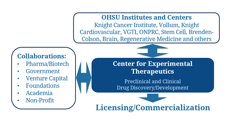 The Center for Experimental Therapeutics creates a hub for institutes and centers at 博彩网站 to foster global collaboration with pharma, biotech, foundations and investors, and leads to licensing and commercialization.
