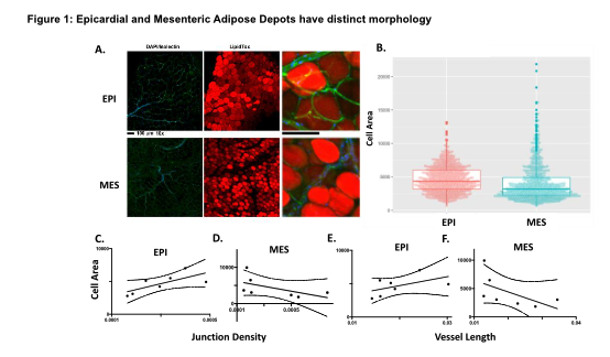 Junction density