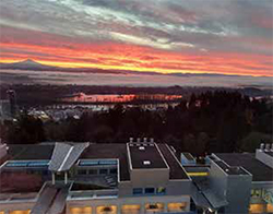 VA building roof and Mt. Hood