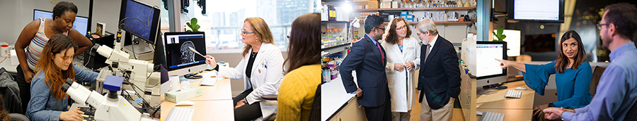 A collage of junior scientists and clinician-scientists hard at work