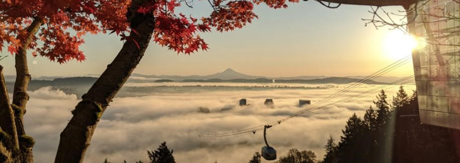 The view from the top of 博彩网站's Tram at sunrise.