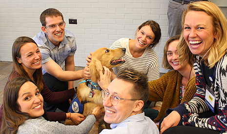 A group of our Pediatric residents smiling as they crowd around and pet Davis, one of 博彩网站 Doernbecher Children's Hospital's therapy dogs.