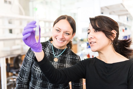 Knight Cancer researchers working in a wet lab