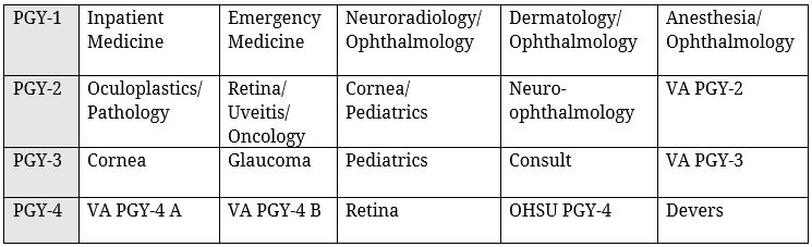 Table of residency year and rotation schedule.